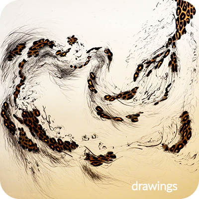 drawings